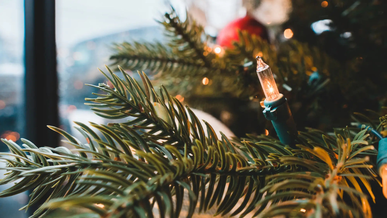 Glycerin für deinen Weihnachtsbaum - so bleibt er länger frisch
