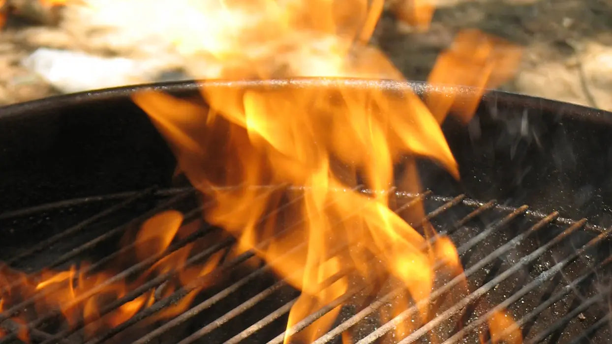 Grill &amp; Feuerschale
