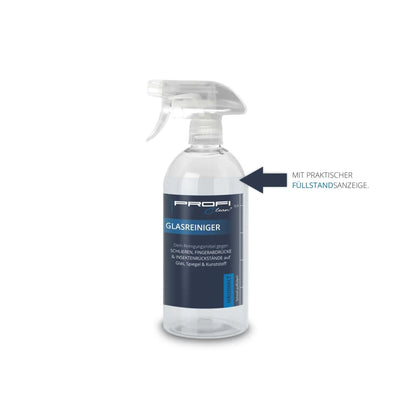 Glasreiniger Spray gebrauchsfertig streifenfrei Flasche